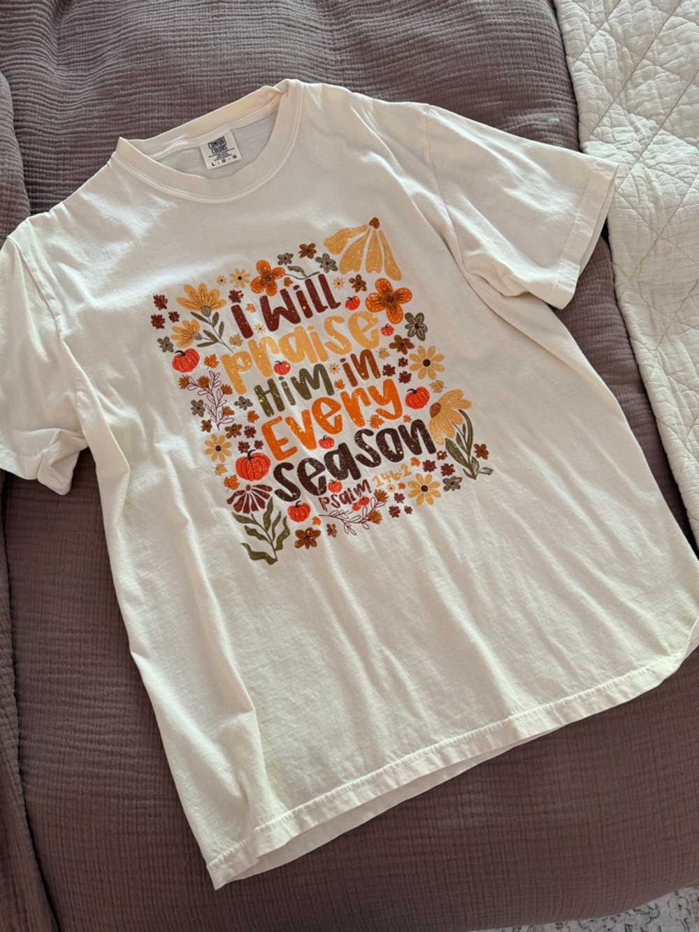 Comfort Colors T-shirt - I Will Praise Him in Every Season